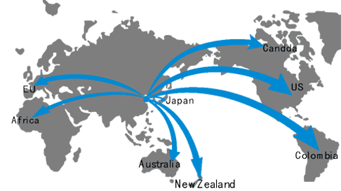 HCC sales network